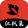 成年人抖音官方版APP应用