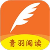 暴躁少女CSGO视频播放APP应用