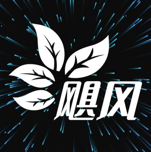 桃花视频APP应用