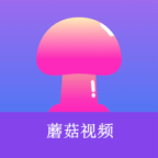 深夜直播APP应用